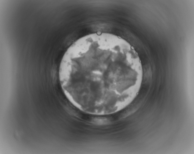 X0000112970749200910081045
