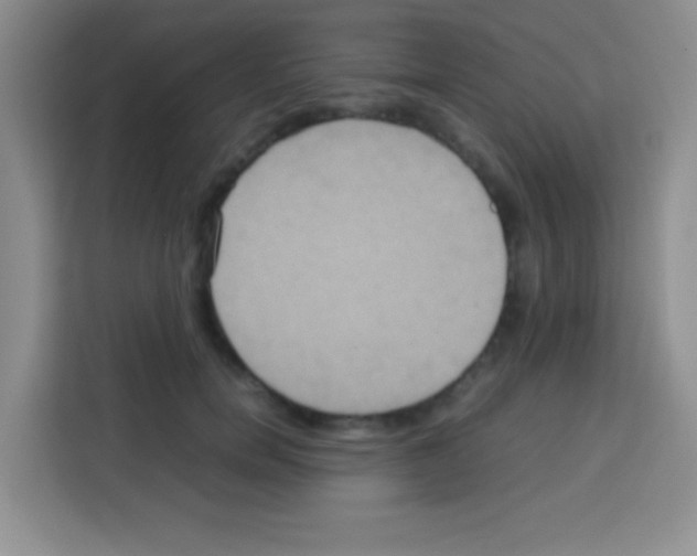 X0000112970750200910081045