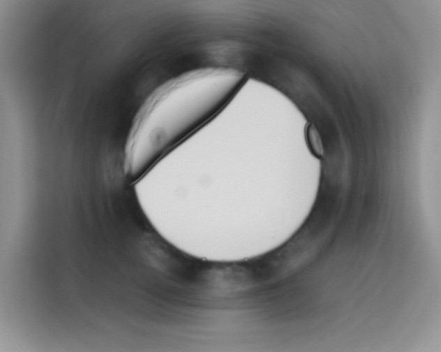 X0000112970752200910081045