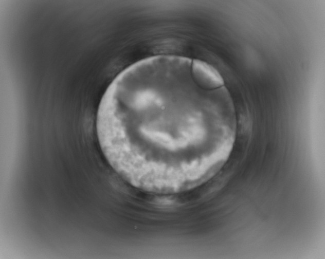 X0000112970753200910081045