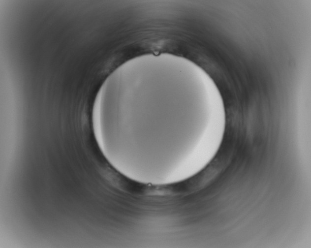 X0000112970754200910081045