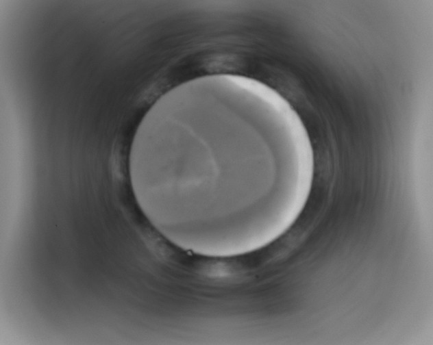 X0000112970755200910081045