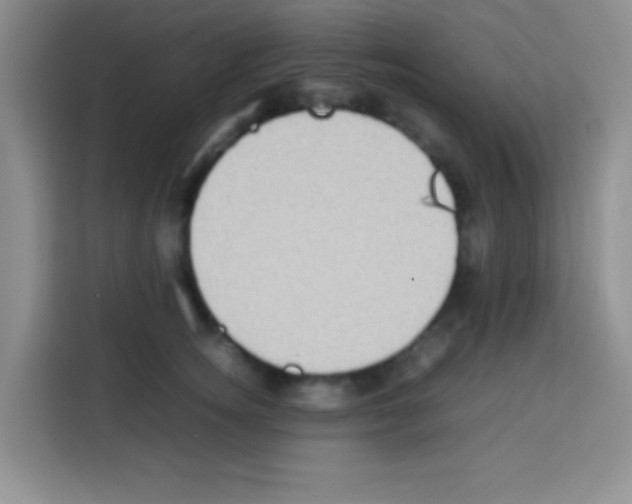 X0000112970756200910081045