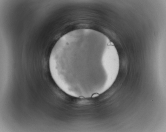 X0000112970759200910081045