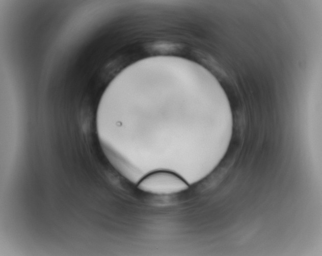 X0000112970760200910081045
