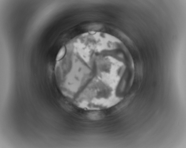 X0000112970761200910081045