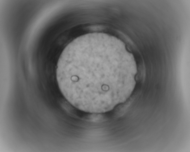 X0000112970762200910081045