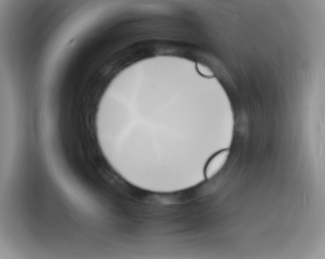 X0000112970763200910081045