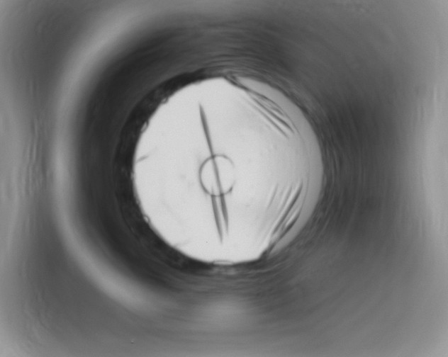 X0000112970764200910081045