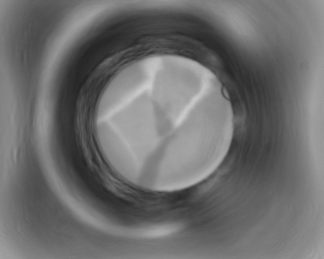 X0000112970765200910081045