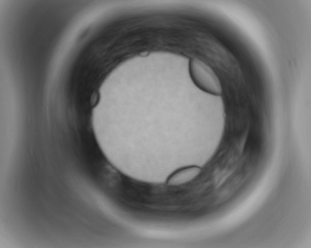 X0000112970766200910081045