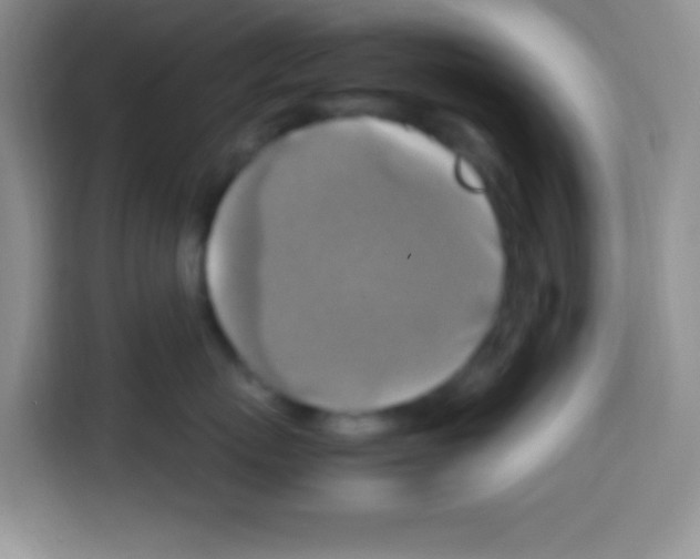 X0000112970767200910081045