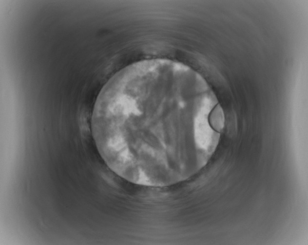 X0000112970770200910081045