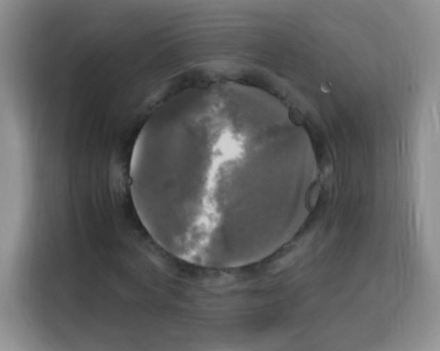 X0000112970772200910081045