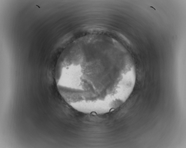 X0000112970774200910081045