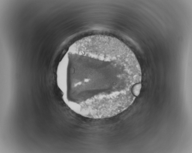 X0000112970776200910081045