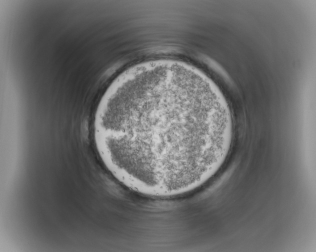 X0000112970777200910081045