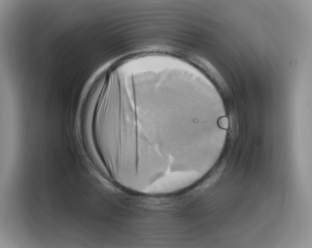 X0000112970780200910081044