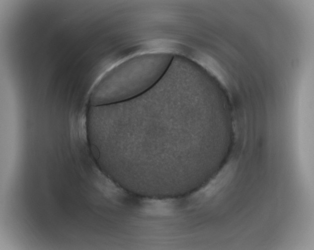 X0000112970781200910081044