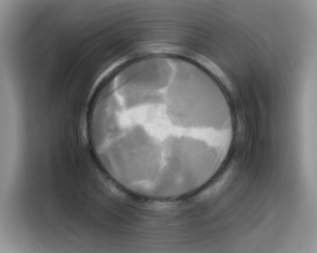 X0000112970782200910081044