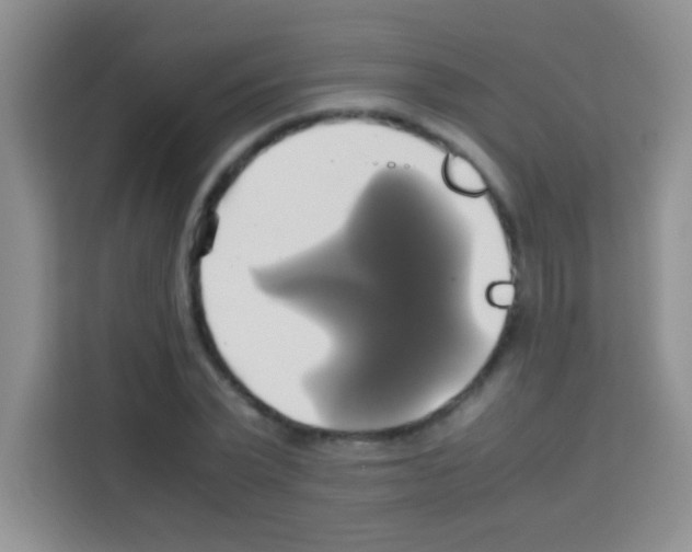 X0000112970783200910081044