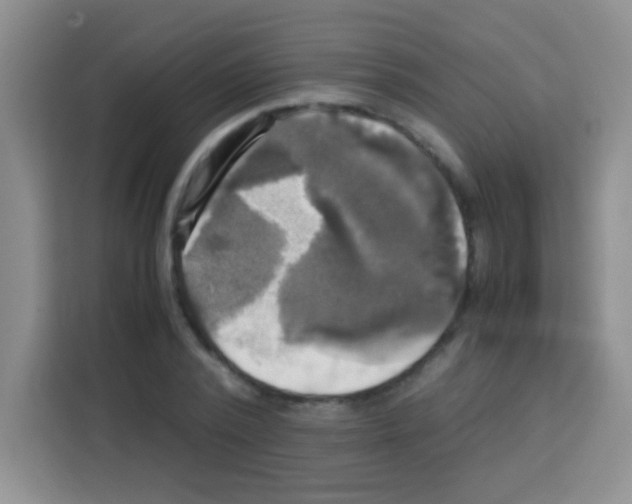 X0000112970784200910081044