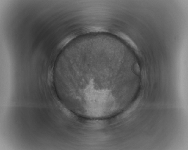 X0000112970785200910081044