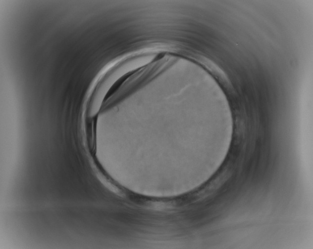 X0000112970792200910081044