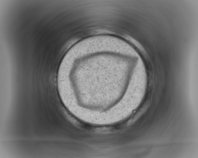 X0000112970793200910081044