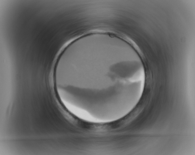 X0000112970795200910081044