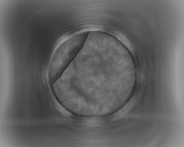 X0000112970797200910081044