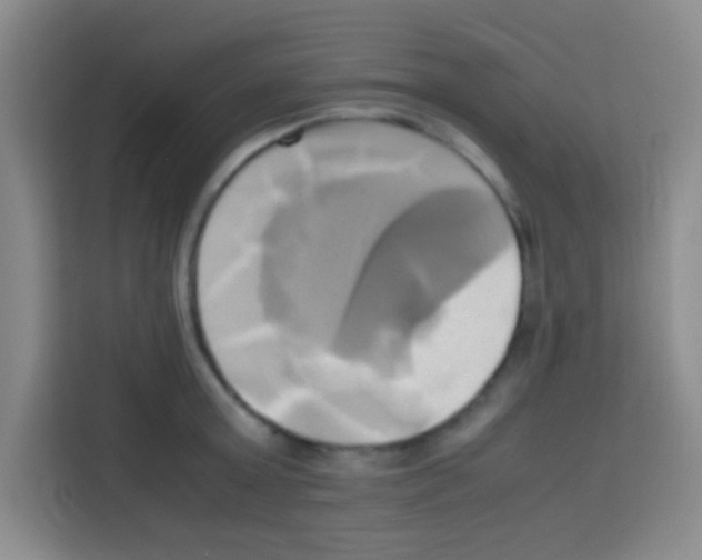 X0000112970803200910081044