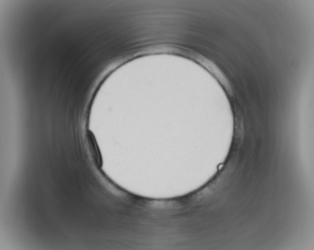 X0000112970805200910081044