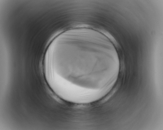 X0000112970806200910081044