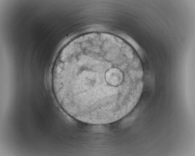 X0000112970807200910081044