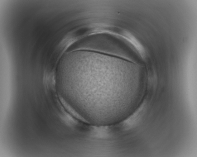 X0000112970809200910081044