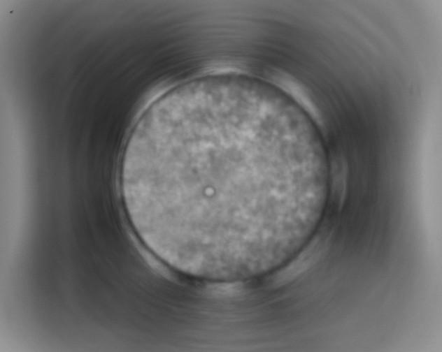 X0000112970810200910081044