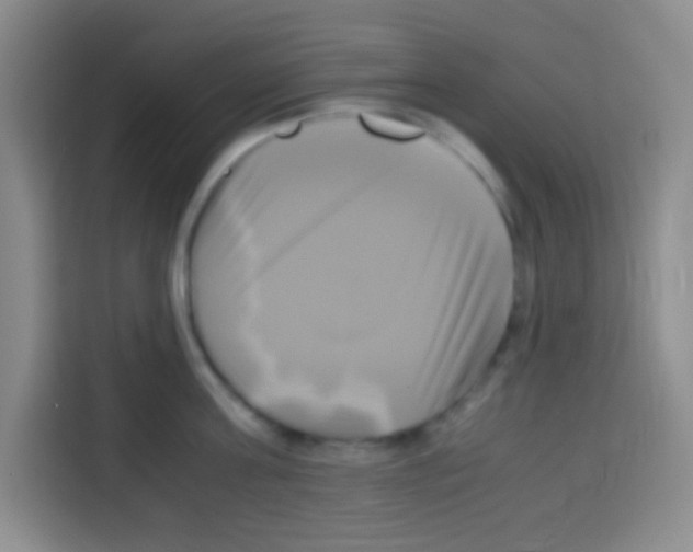 X0000112970811200910081044