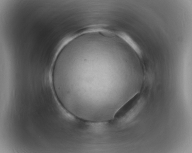 X0000112970813200910081044