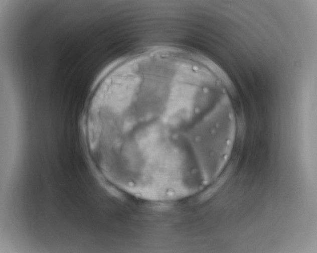X0000112970814200910081044