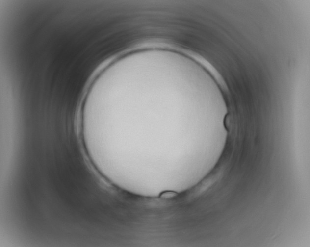 X0000112970815200910081044