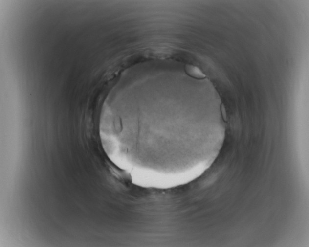 X0000112970818200910081043