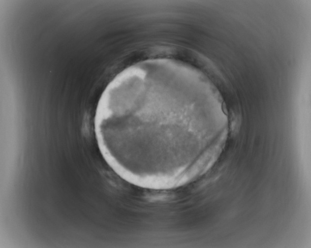 X0000112970819200910081043