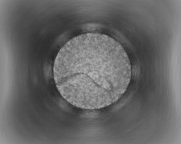 X0000112970820200910081043