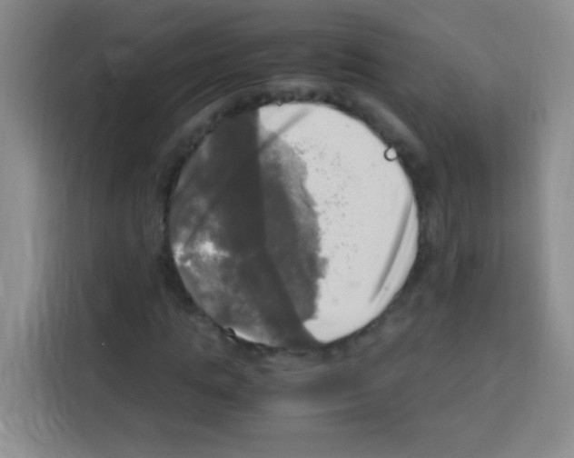 X0000112970821200910081043
