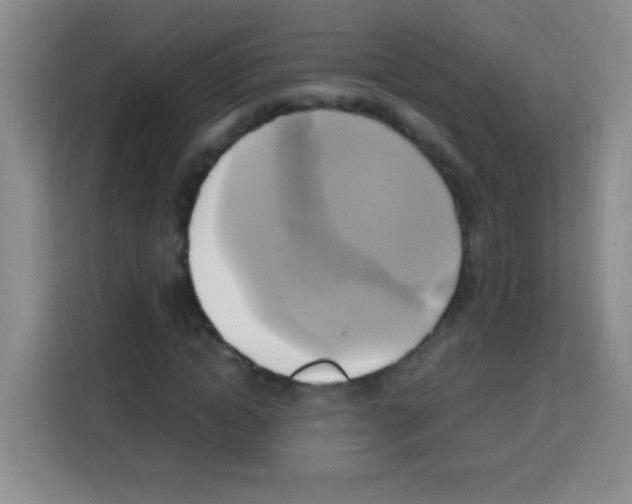 X0000112970822200910081043
