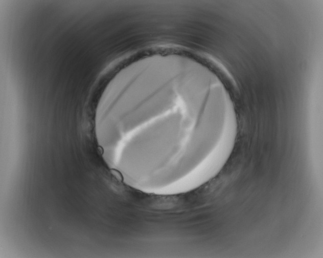 X0000112970823200910081043