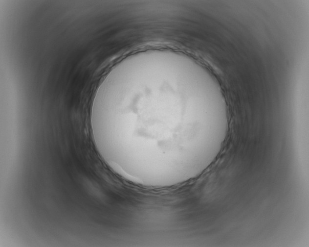 X0000112970824200910081043