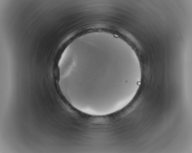 X0000112970826200910081044