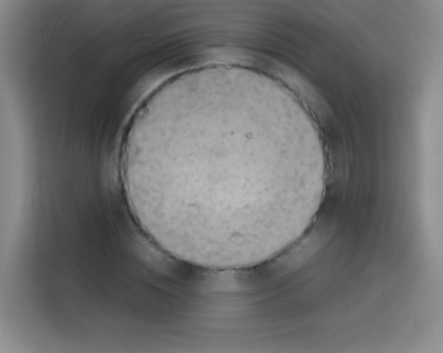 X0000112970828200910081044